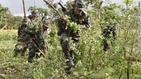Soldiers of the joint task command destroy coca plantations in Chimore, Chapare, Bolivia on February 26, 2016, during the beginning of the works for the eradication of excess coca. AFP PHOTO/AIZAR RALDES / AFP / Aizar Raldes Nunez        (Photo credit should read AIZAR RALDES NUNEZ/AFP/Getty Images)