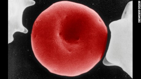   Using cells strains to create an endless supply of blood 