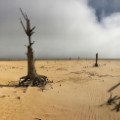 06 Theewaterskloof Dam
