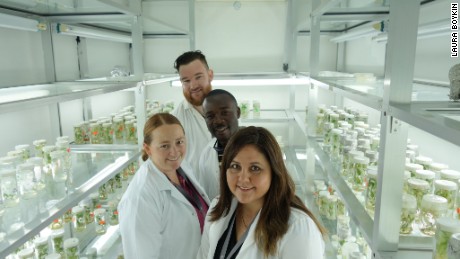 Computation biologist Dr. Laura Boykin is pioneering the use of genomics to identify strains of cassava disease. 