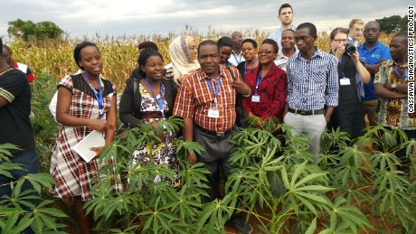 Dr. Joseph Ndunguru (center) in Malawi with colleagues working to identify and control cassava disease. 