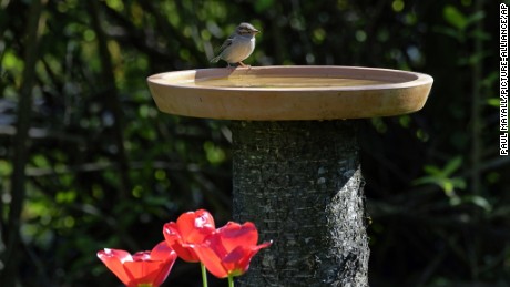 Understanding the &#39;Byrd Bath&#39;