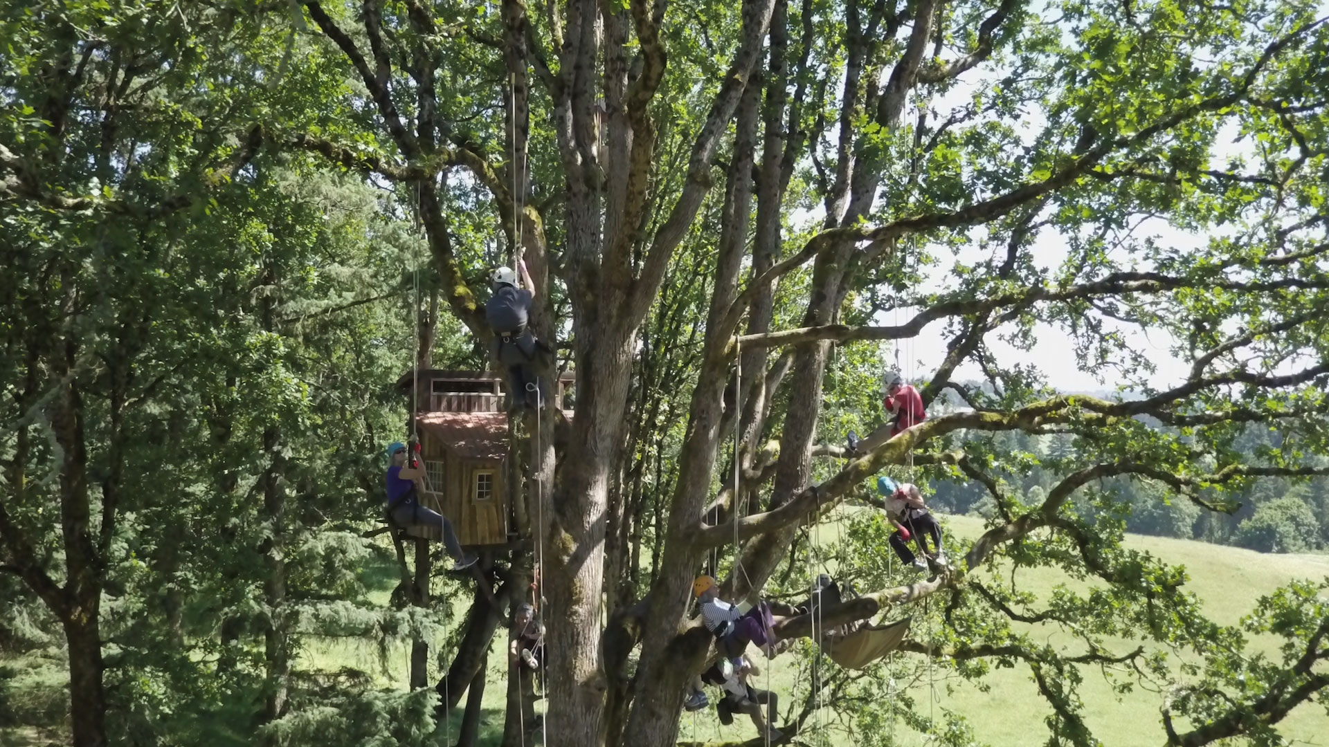 Learning The Ropes With Expert Tree Climber Tim Kovar Cnn Travel