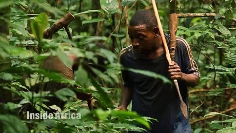 Living on the edge: Cameroon&#39;s Baka Pygmies face an uncertain future