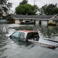 04 harvey 0831