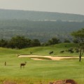Legend Golf Course 6