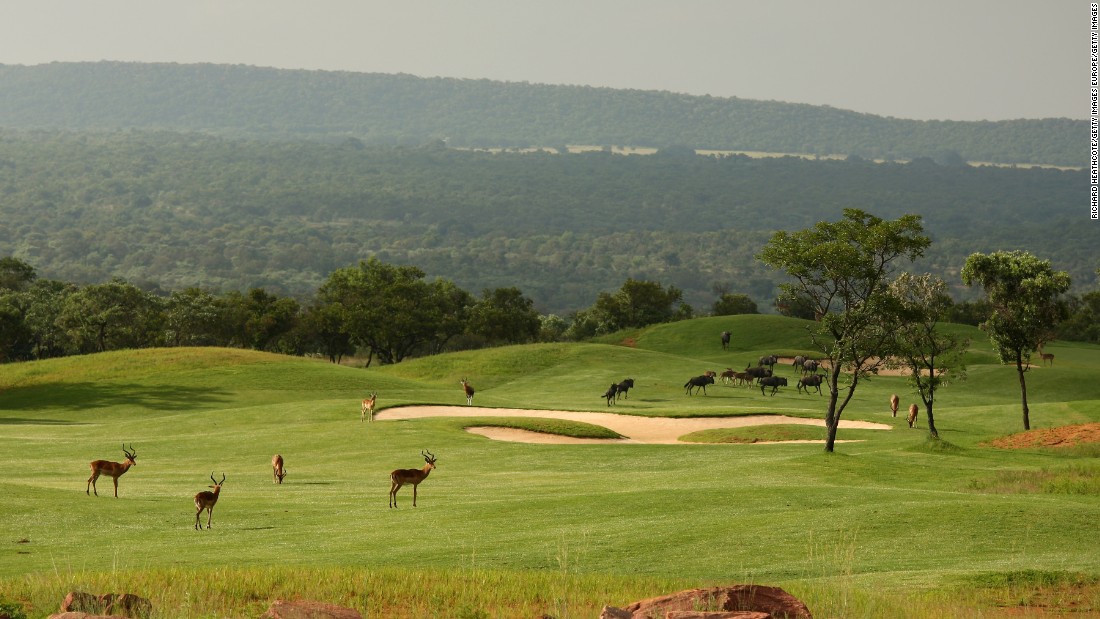 As well as a stunning landscape, wandering wildlife provides an added extra special ingredient to the course&#39;s attractions. Here impala and water buffalo roam across the seventh hole.