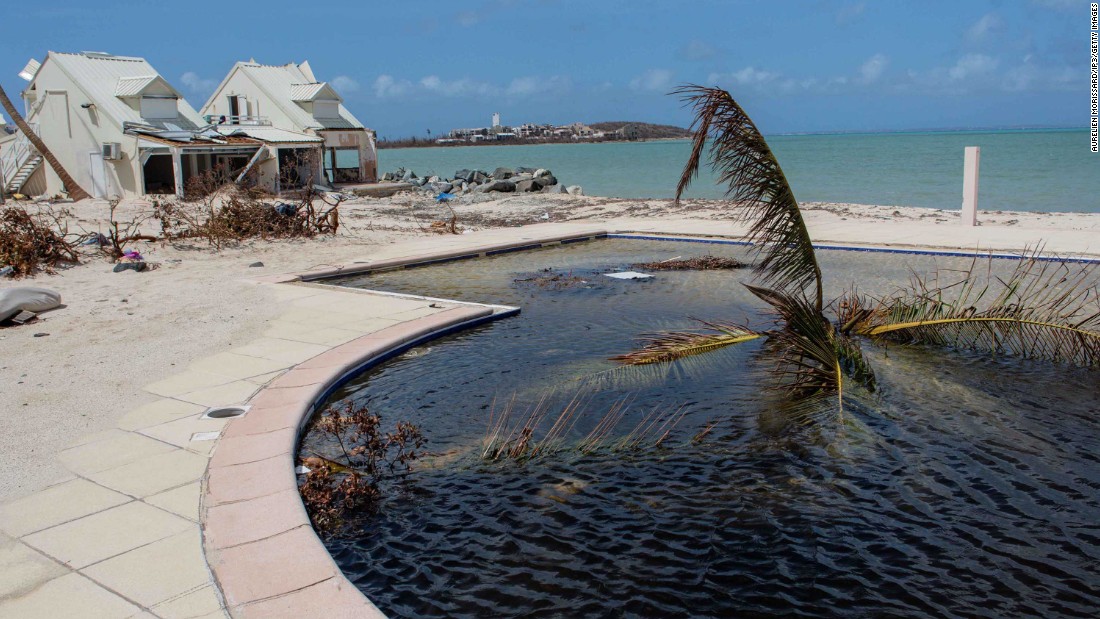 A palm tree sticks out of a pool on the French side of St. Martin on September 11.