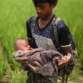 02 Rohingya refugees 0912 制限付き