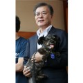 19 talk asia moon jae-in
