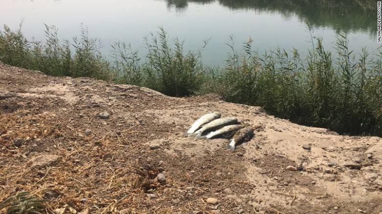 SDF fighters catch lunch by throwing grenades in the river and pushing the fish to the surface. The SDF had reached the Euphrates the day before and were confident in their territorial gains.