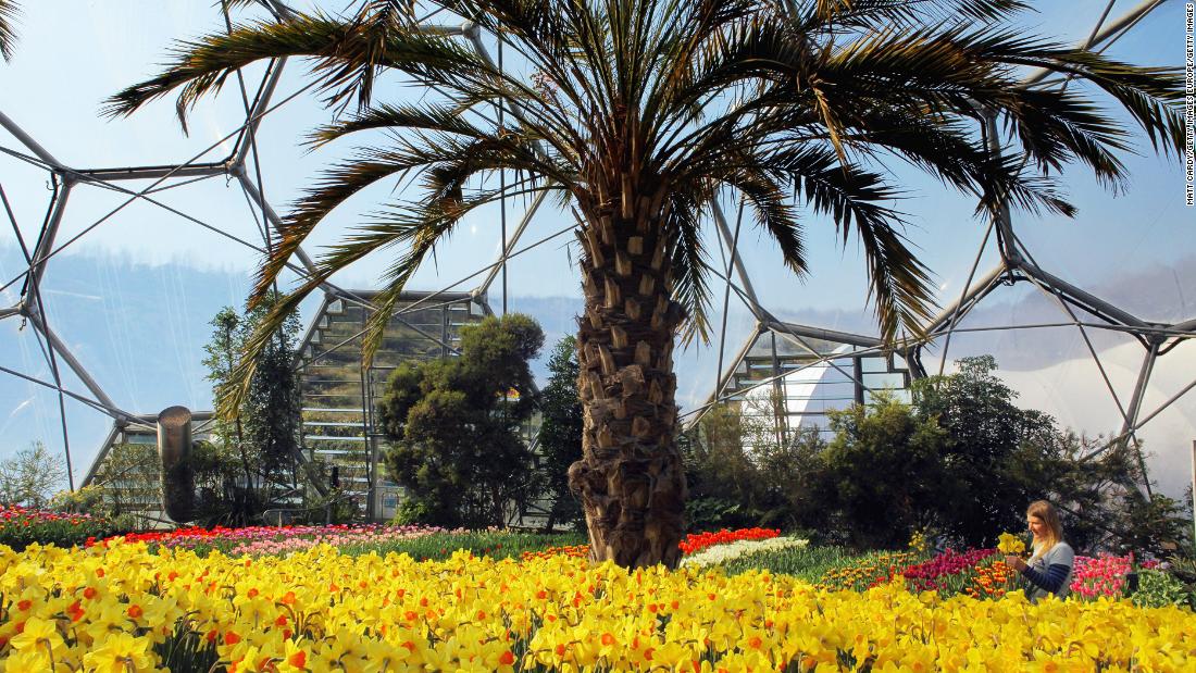 Each biome has plants from a particular region of the world. One is called the Mediterranean Biome and the other is the Rainforest Biome. There is also a large outdoor garden, restaurants and cafes and an education center. 