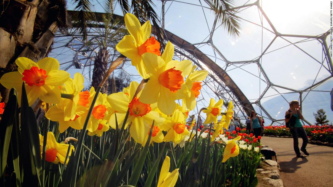 The main ethos of the attraction revolves around connectivity and transformation. It aims to explore the relationship between plants and people.