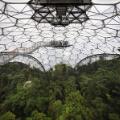 eden project china dome