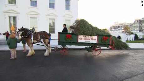 NS Slug: WHITE HOUSE CHRISTMAS TREE PRESENTATION  Synopsis: First Lady Melania Trump participates in White House Christmas tree presentation  Keywords: WHITE HOUSE FIRST LADY MELANIA TRUMP HOLIDAY CHRISTMAS
