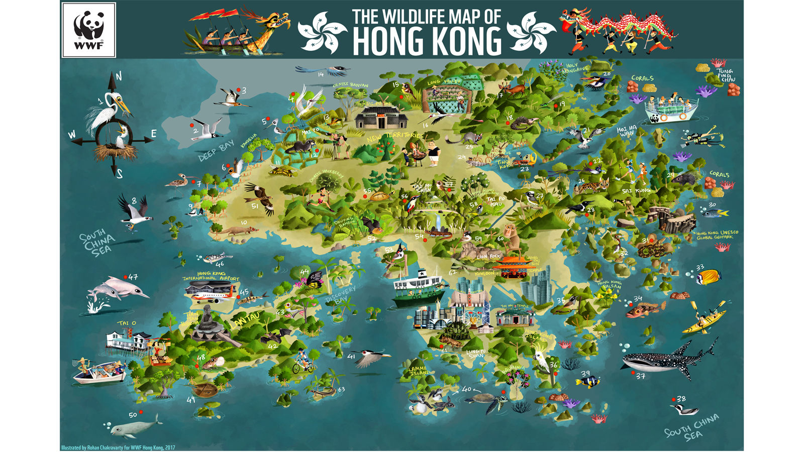 The Map Of Hong Kong Colorful Wwf Map Showcases Hong Kong's Biodiversity | Cnn Travel