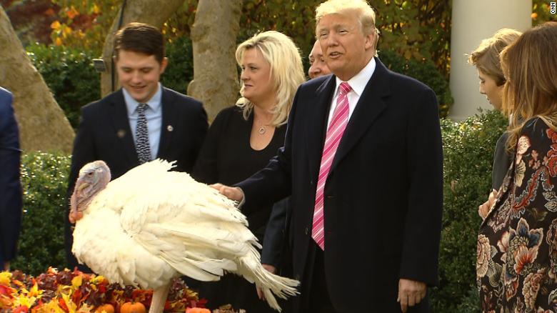 Fowl Play Trump Officially Pardons Drumstick The Turkey Cnnpolitics