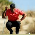 tiger woods crouching hero world challenge 2017