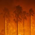 31 california fire 1205