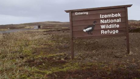 alaska izembek road zinke griffin pkg _00022204.jpg