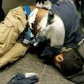  NYC bombing suspect 