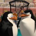 08 penguins long history