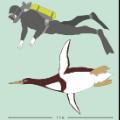 09 penguins long history