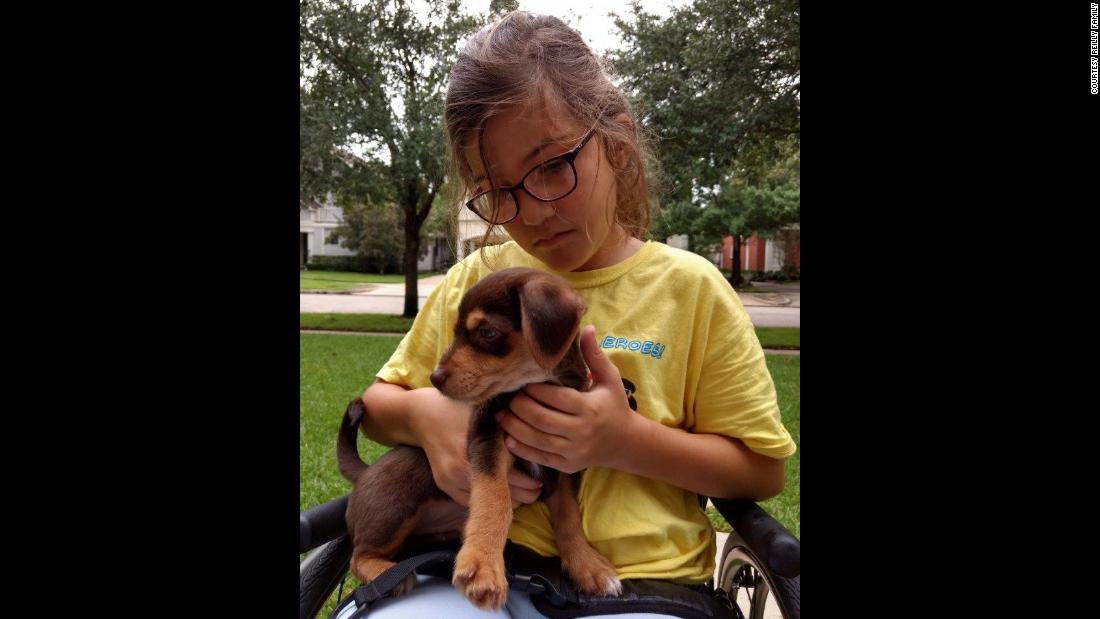 Avery is fascinated by dogs and babies, and very gentle with them. Her family calls her a &quot;sweetheart.&quot;