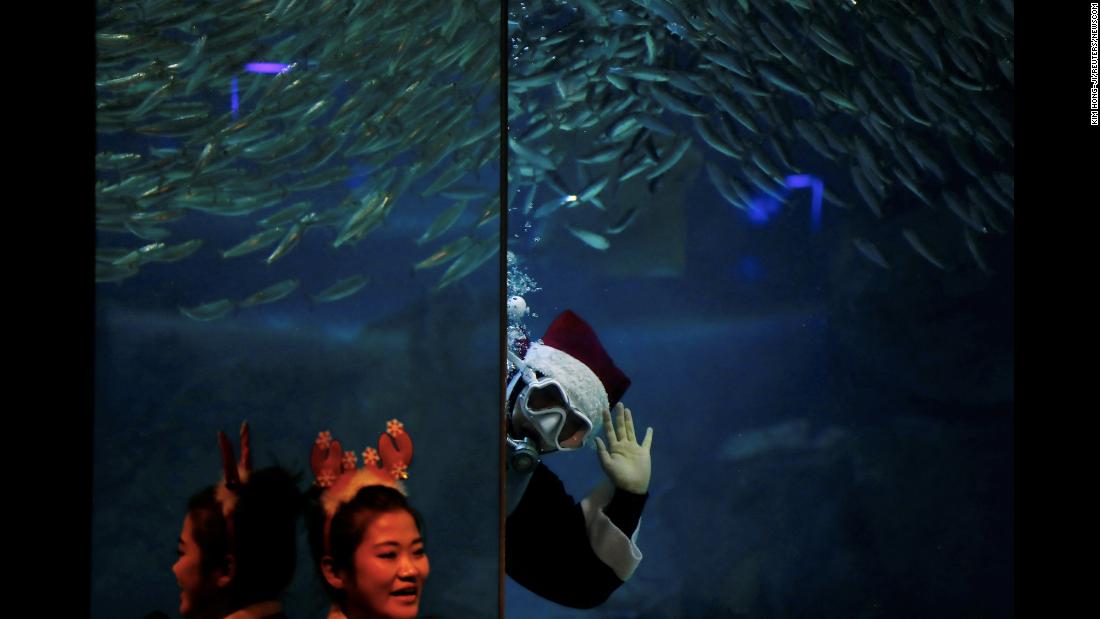 A diver in a Santa Claus costume swims with sardines Sunday, December 10, at the Coex Aquarium in Seoul, South Korea.