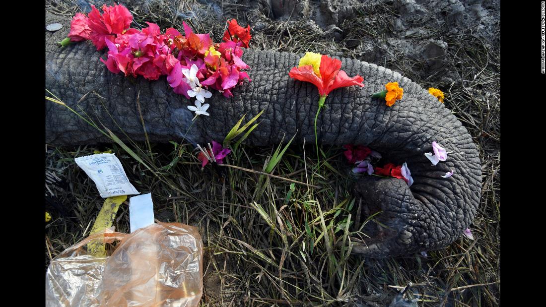 Flowers are placed on the carcass of an elephant that forest officials said was electrocuted in a paddy field in Nagaon, India, on Tuesday, December 12.