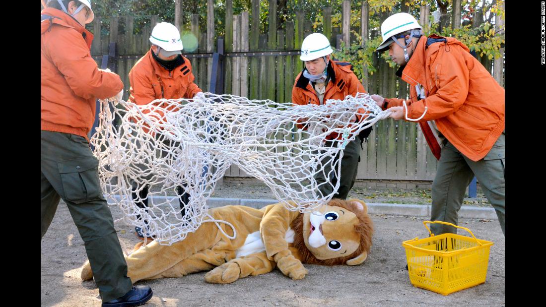 Zookeepers capture a staff member wearing a lion costume during an animal-escape exercise at the Tennoji Zoo in Osaka, Japan, on Tuesday, December 12.