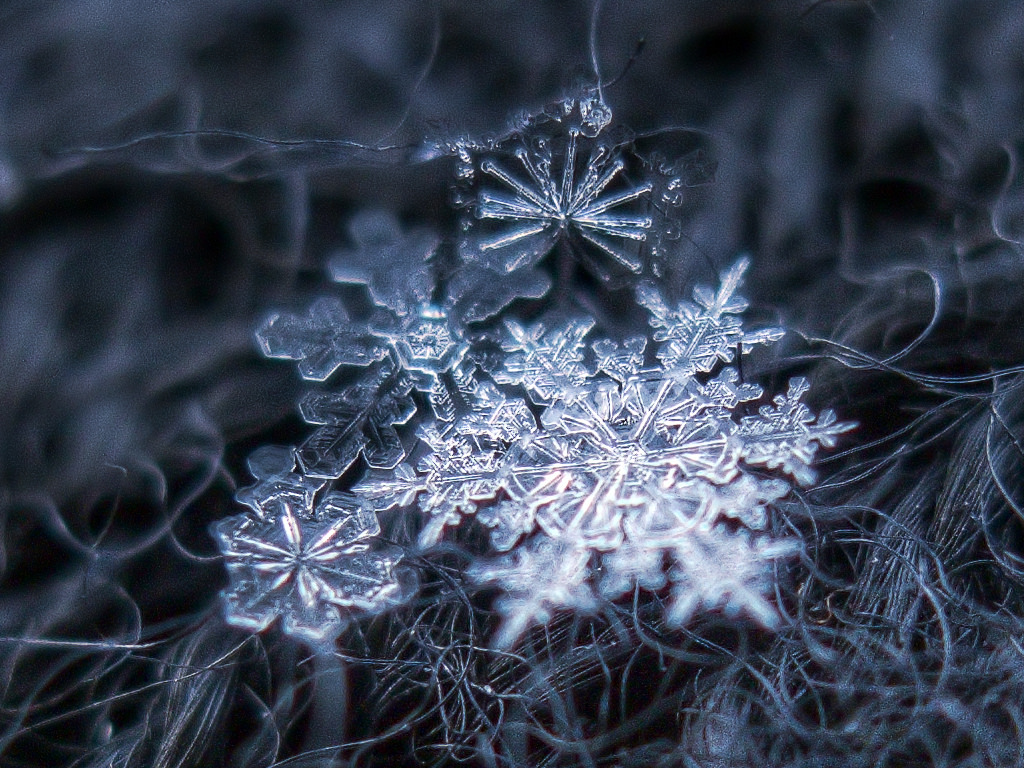How history's first photos of snowflakes were made - CNN Style