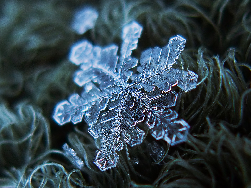 How history's first photos of snowflakes were made - CNN Style