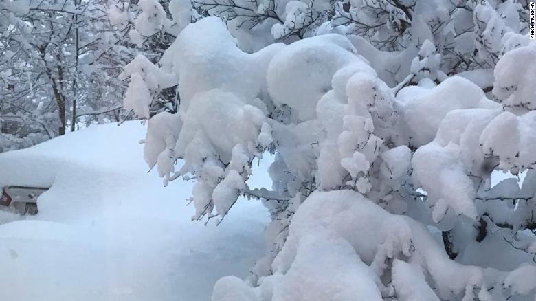 Kara Murphy of Millcreek Township, Pennsylvania said the snow blanketed her in-laws&#39; car on Tuesday morning.