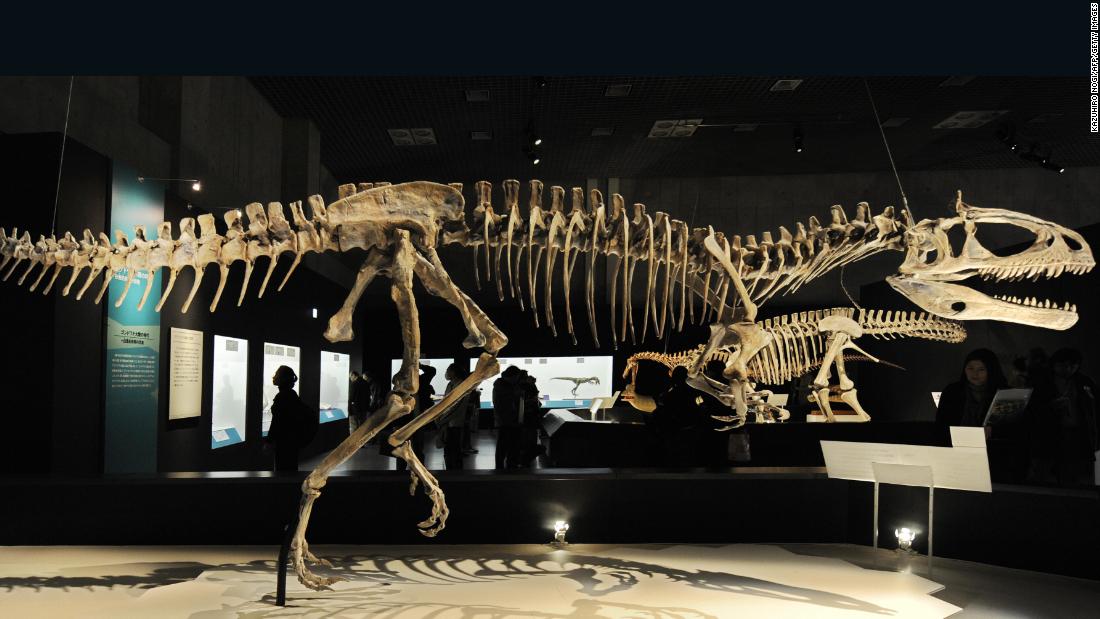 when was the first dinosaur fossil found