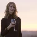 07 Golden Globe winners laura dern