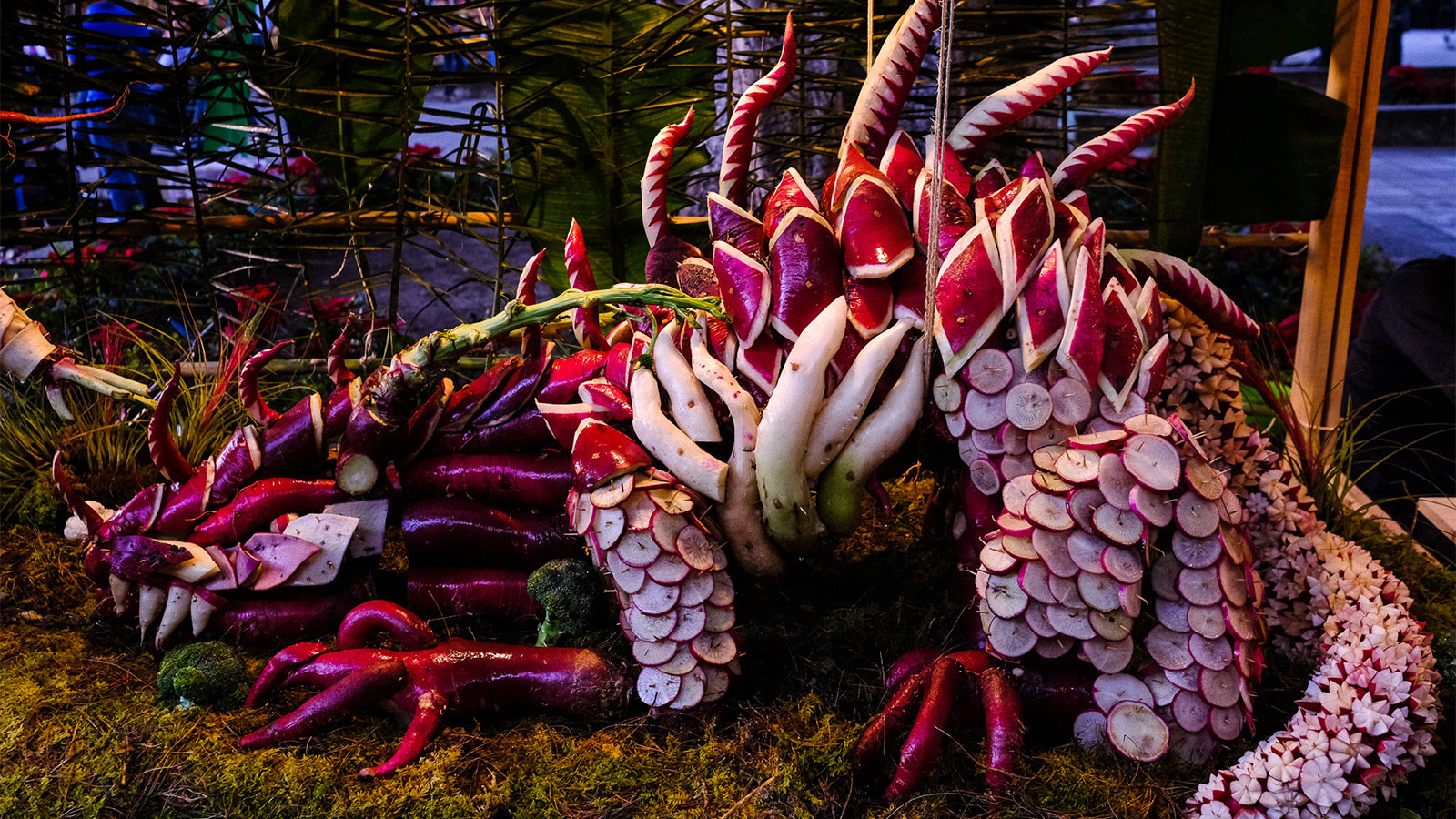 Oaxaca's radish-carving festival: A slice of Mexico | CNN Travel