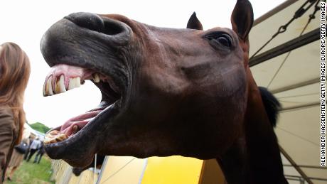 The horse races you need to know about in 2018