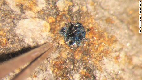  Ingredients for life found in meteorites that crashed on Earth 