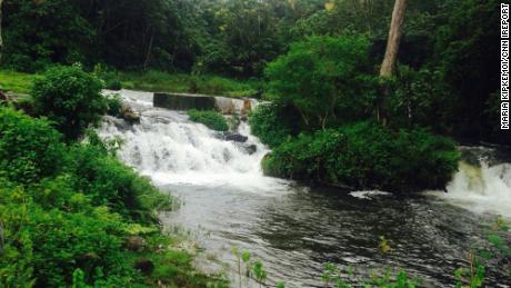 Maria Kipkemoi calls Aberdare National Park her favorite place in Kenya.