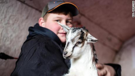 At the Adams&#39; farm in Monticello, the children learn by looking after their own animals.