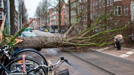 A man who escaped unharmed picks up his gloves after his scooter was hit by a crashing tree uprooted by heavy winds in Amsterdam, Netherlands, on Thursday.