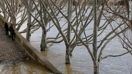 Walkways by the River Seine are flooded and many trees are partially submerged.