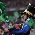 ireland fan six nations