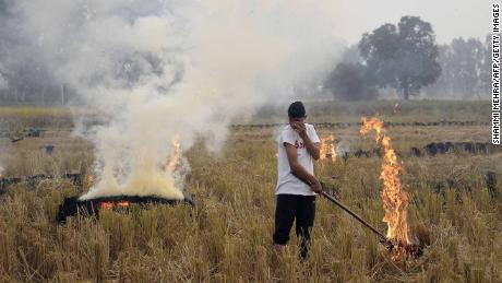 An Indian farmer burns paddy stubble in a field on the outskirts of Jalandhar. Cooler winter air traps particulates close to the ground, preventing them from dispersing.
