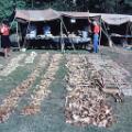 01 repton viking burial site