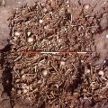 04 repton viking burial site