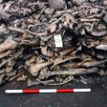 05 repton viking burial site