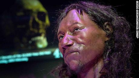 A full face reconstruction model made from the skull of a 10,000 year old man, known as 'Cheddar Man', Britain's oldest complete skeleton is pictured during a press preview at the National History Museum in London on February 6, 2018.
**PLEASE NOTE: PHOTOGRAPHS ARE EMBARGOED UNTIL 00.01 GMT February 7, 2018**

 / AFP PHOTO / Justin TALLIS        (Photo credit should read JUSTIN TALLIS/AFP/Getty Images)