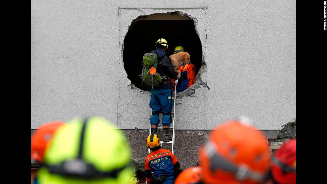 Emergency personnel rescue a pet dog from a damaged building in Hualien on February 7.